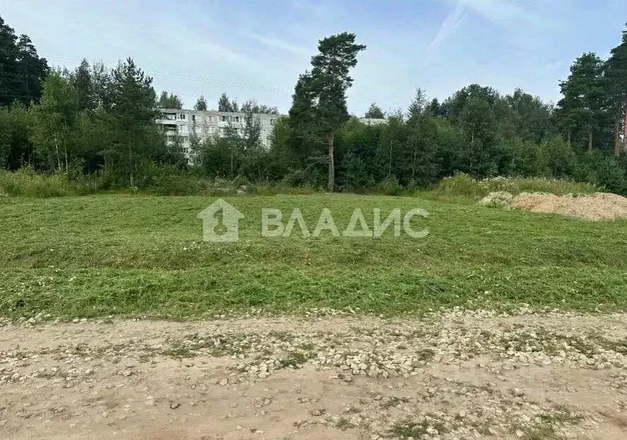 Участок в Владимирская область, Собинка ул. Новая (10.0 сот.) - Фото 1