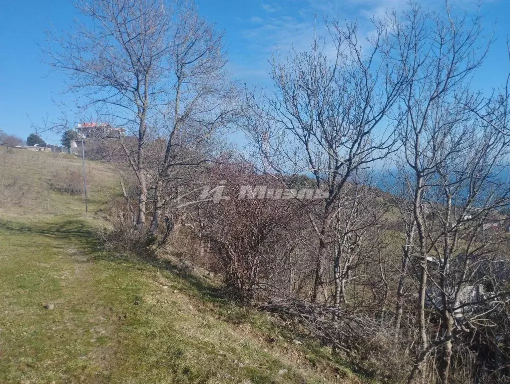 Участок в Крым, Ялта городской округ, Никита пгт ул. Имени Героя ... - Фото 1