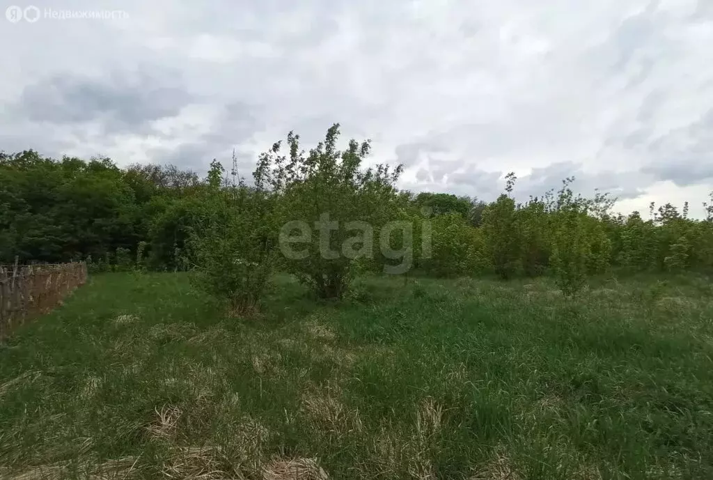 Участок в Тамбовский муниципальный округ, село Красносвободное (21 м) - Фото 1