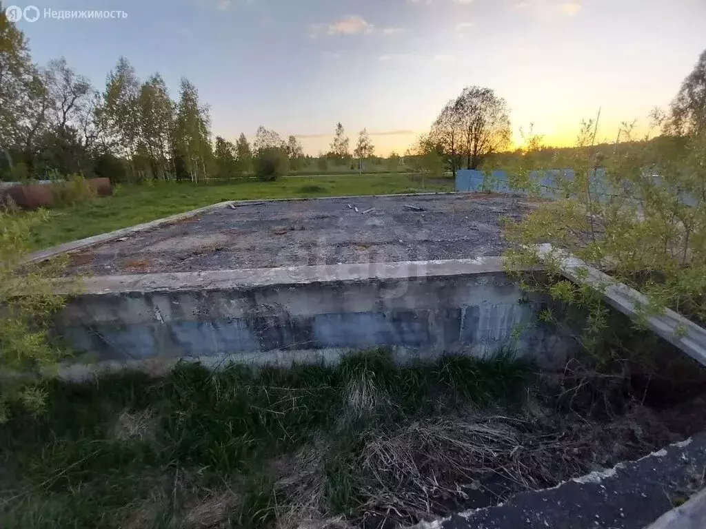 Участок в Калужская область, Мосальский муниципальный округ, деревня ... - Фото 2