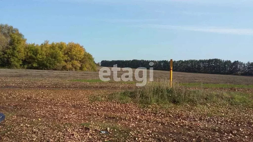 Участок в Башкортостан, Уфимский район, Булгаковский сельсовет, д. ... - Фото 1