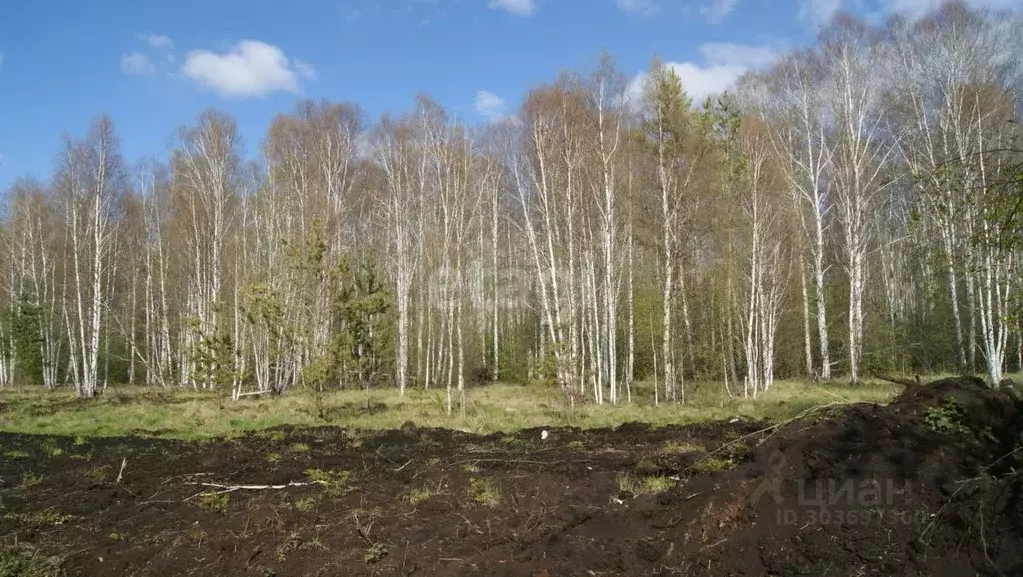 Участок в Свердловская область, Екатеринбург ВИЗ жилрайон,  (7.3 сот.) - Фото 1