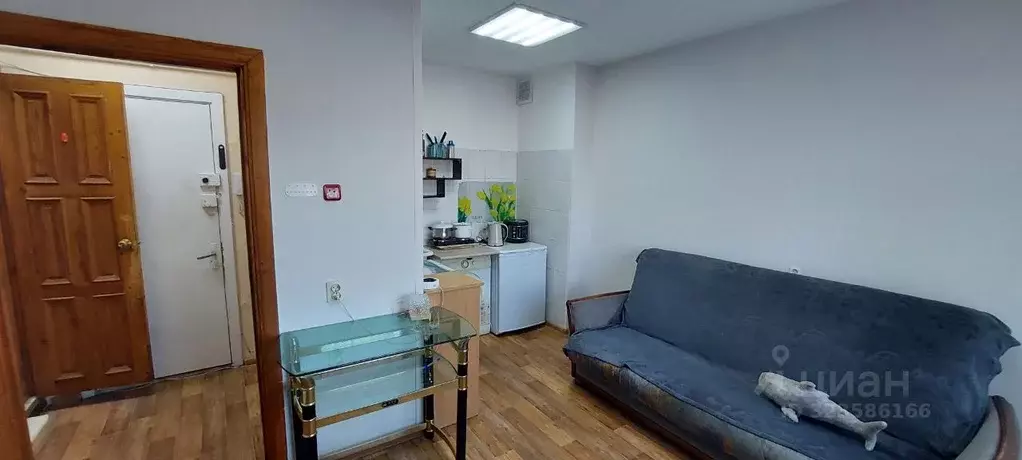 Студия Иркутская область, Иркутск ул. Костычева, 7 (20.0 м) - Фото 1