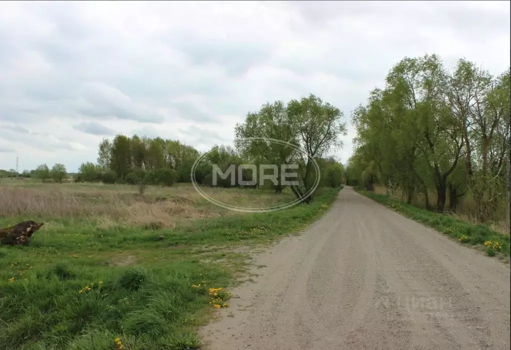 Участок в Калининградская область, Зеленоградский муниципальный округ, ... - Фото 1