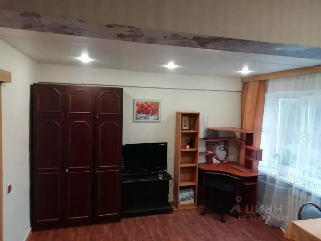 1-к кв. Тульская область, Новомосковск ул. Мира, 3 (26.5 м) - Фото 1