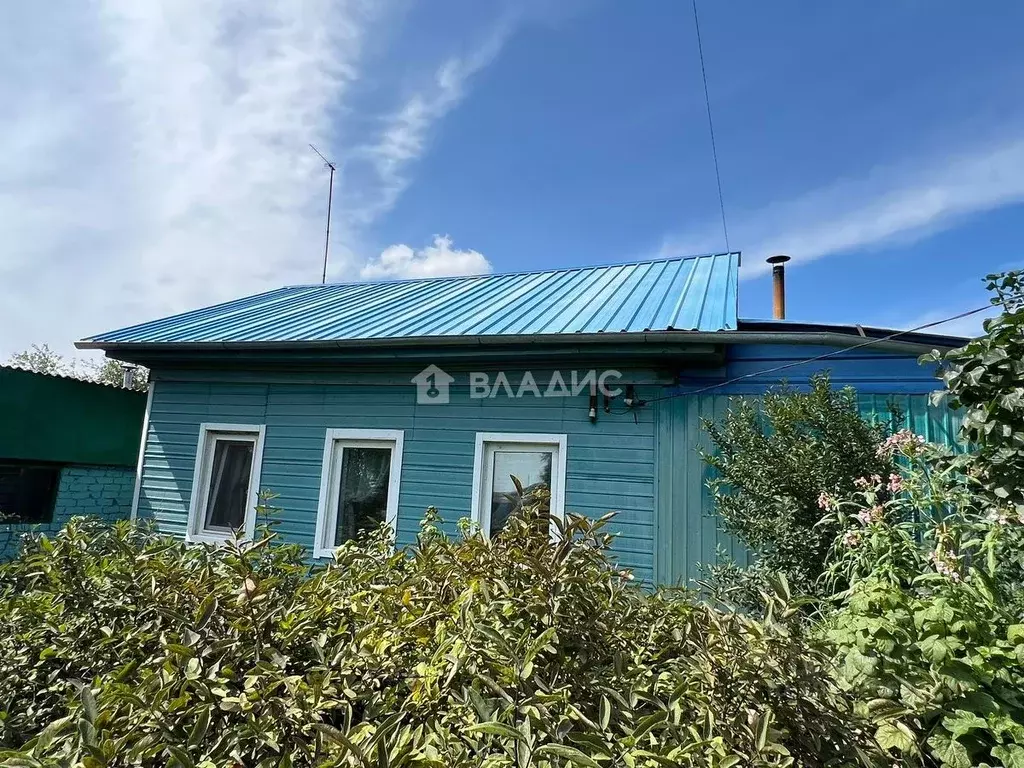 Дом в Амурская область, с. Тамбовка ул. Тамбовская, 40 (47 м) - Фото 0