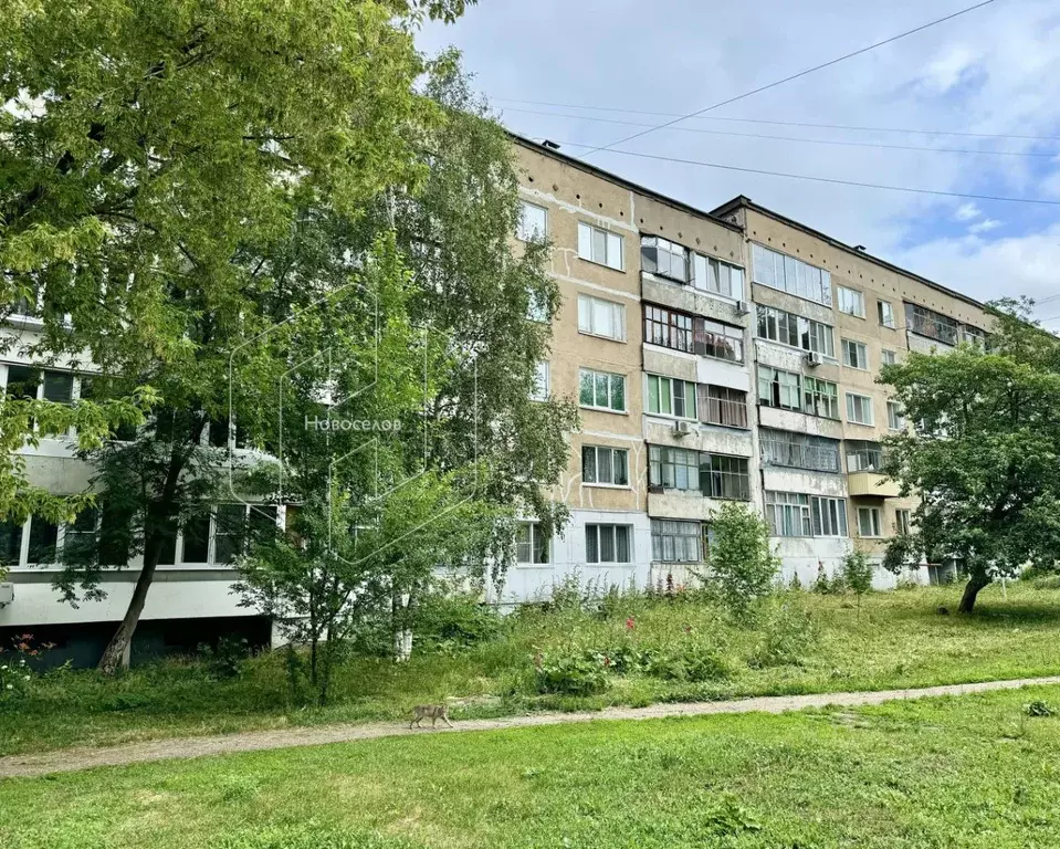 1-к кв. Мордовия, Саранск ул. Сущинского, 11 (33.1 м) - Фото 1