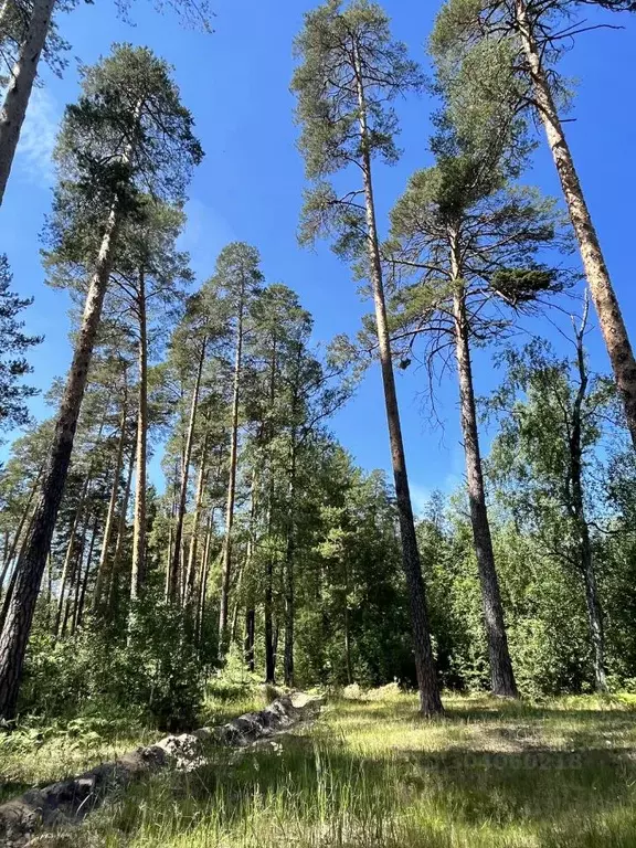 Студия Татарстан, Зеленодольск Паратская ул., 4/2 (17.2 м) - Фото 0