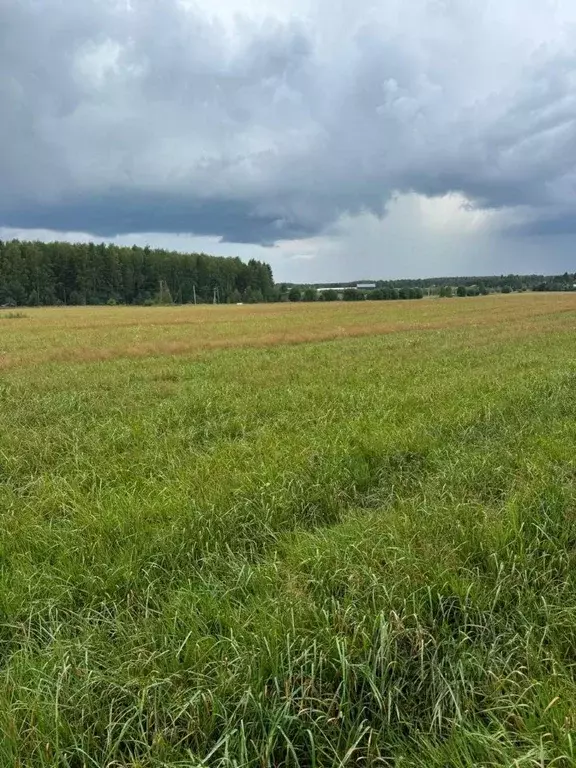 Участок в Ивановская область, Ивановский район, Балахонковское с/пос, ... - Фото 1