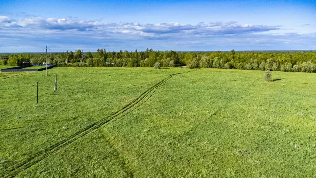 Участок в Ленинградская область, Всеволожский район, Рахьинское ... - Фото 1