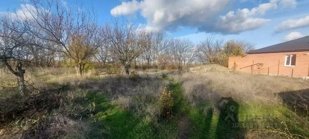 Участок в Ростовская область, Октябрьский район, пос. Персиановский ... - Фото 2