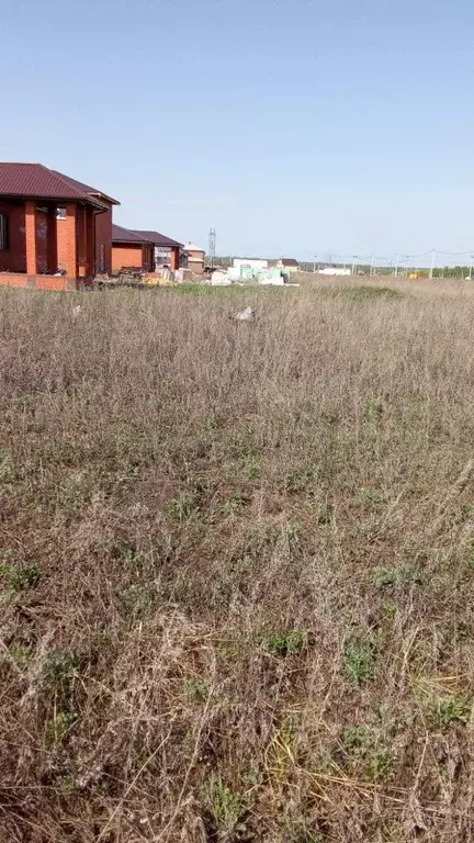 Участок в Тамбовская область, Тамбовский муниципальный округ, д. ... - Фото 2