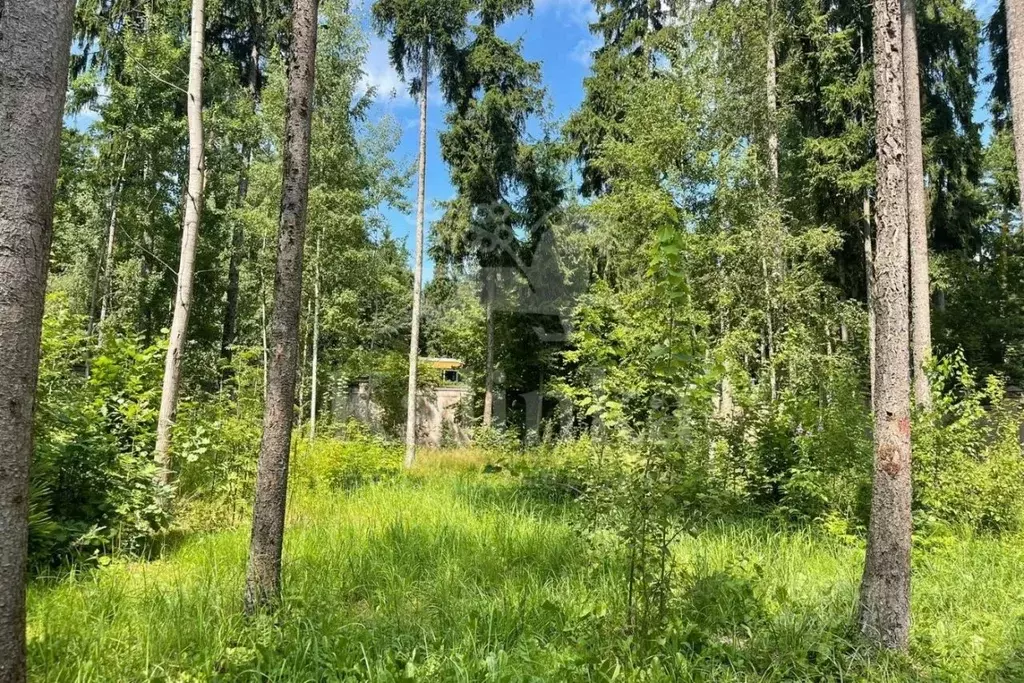 Участок в Московская область, Одинцовский городской округ, д. Бородки, ... - Фото 1