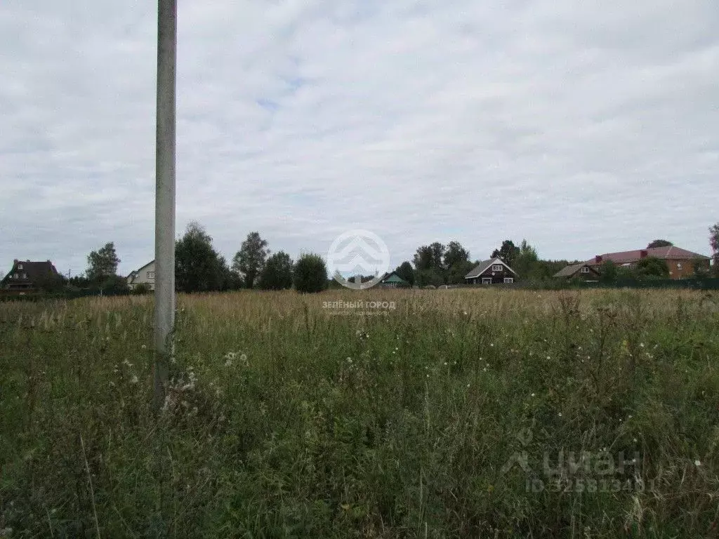 Участок в Московская область, Клин городской округ, д. Васильково  ... - Фото 2