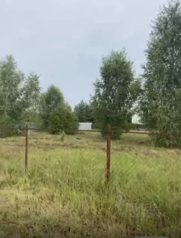Участок в Московская область, Ступино городской округ, Родник-2 СНТ 17 ... - Фото 1