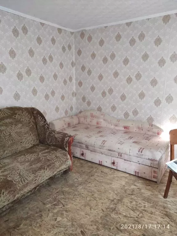 1-к кв. Крым, Симферополь ул. Чехова, 74 (20.0 м) - Фото 1