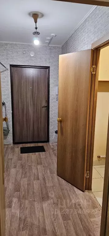 Студия Красноярский край, Красноярск Ключевская ул., 83 (33.0 м) - Фото 1