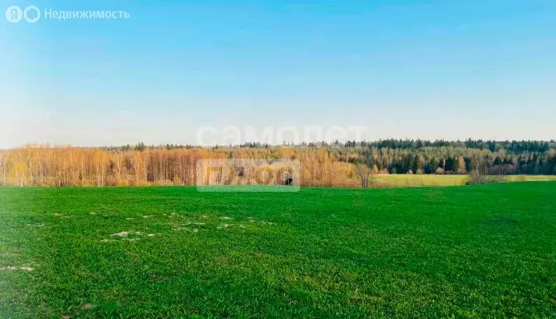 Участок в Сергиево-Посадский городской округ, хутор Шубино (9.84 м) - Фото 1