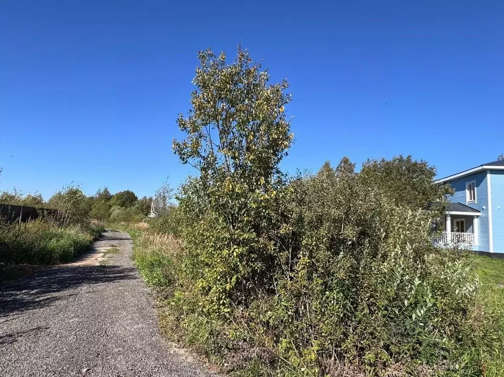 Участок в Московская область, Истра муниципальный округ, д. Дьяково  ... - Фото 2