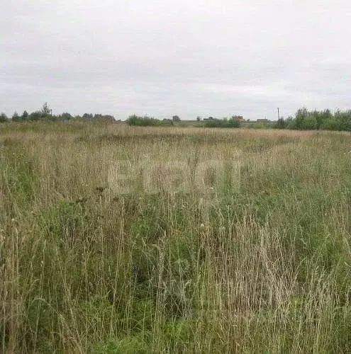 Участок в Мордовия, Саранск  (10.0 сот.) - Фото 1