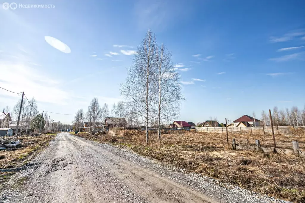 Участок в Искитимский район, село Морозово (7.5 м) - Фото 0