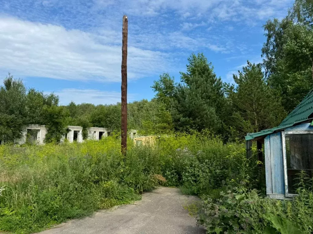 Помещение свободного назначения в Омская область, Крутинский район, с. ... - Фото 1