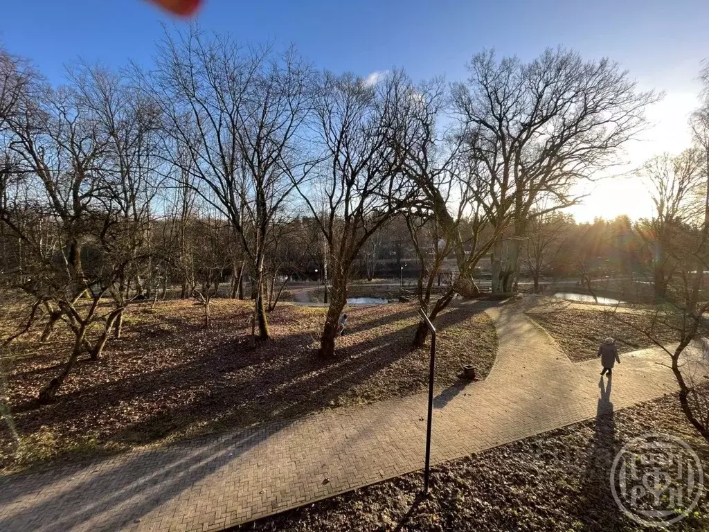 1-к кв. Ленинградская область, Луга ул. Кингисеппа, 4 (31.0 м) - Фото 1