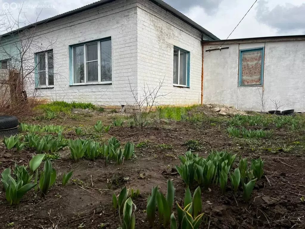 Дом в село Домашка, Октябрьский переулок (47 м) - Фото 1