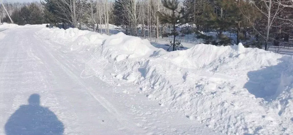 Участок в Тюменская область, Тюменский муниципальный округ, с. Успенка ... - Фото 1
