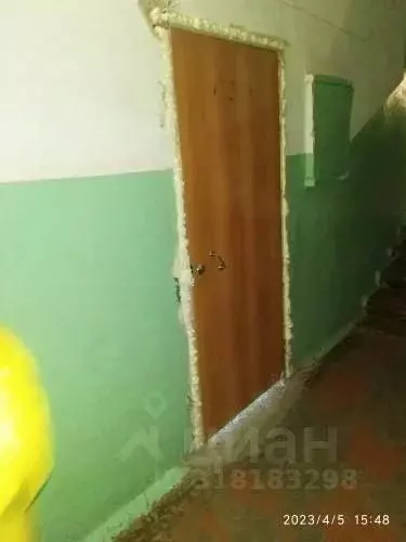 Помещение свободного назначения в Челябинская область, Златоуст ул. ... - Фото 1