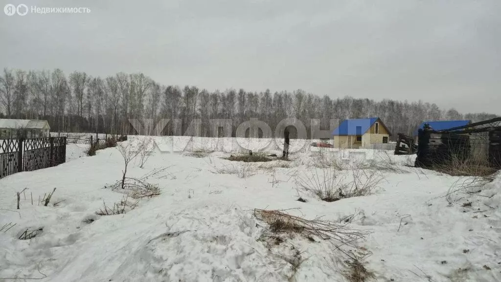 Участок в Станционный сельсовет, село Новокаменка, Калужская улица (49 ... - Фото 1