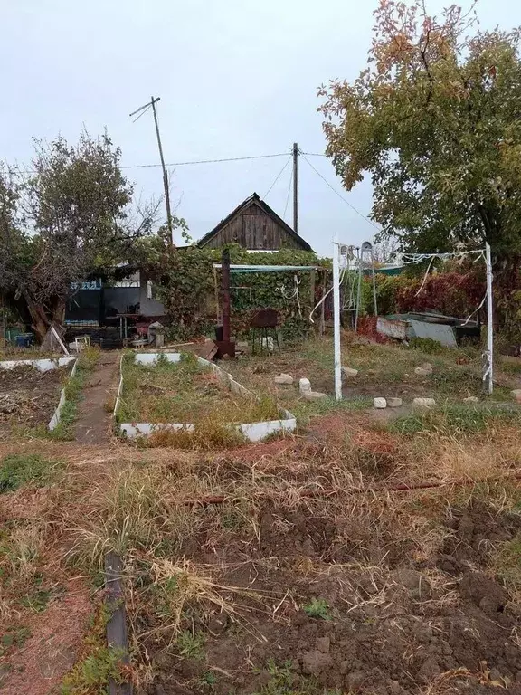 Участок в Волгоградская область, Волгоград Мичуринец СНТ, № 4 массив,  ... - Фото 1