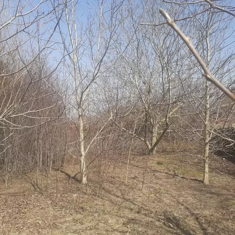 Участок в Краснодарский край, Анапа муниципальный округ, с. ... - Фото 1