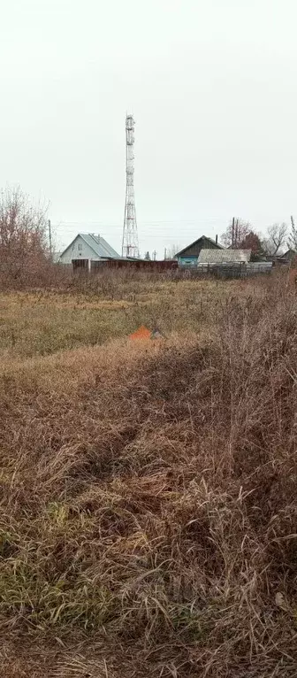 Участок в Новосибирская область, Искитимский район, Совхозный ... - Фото 0