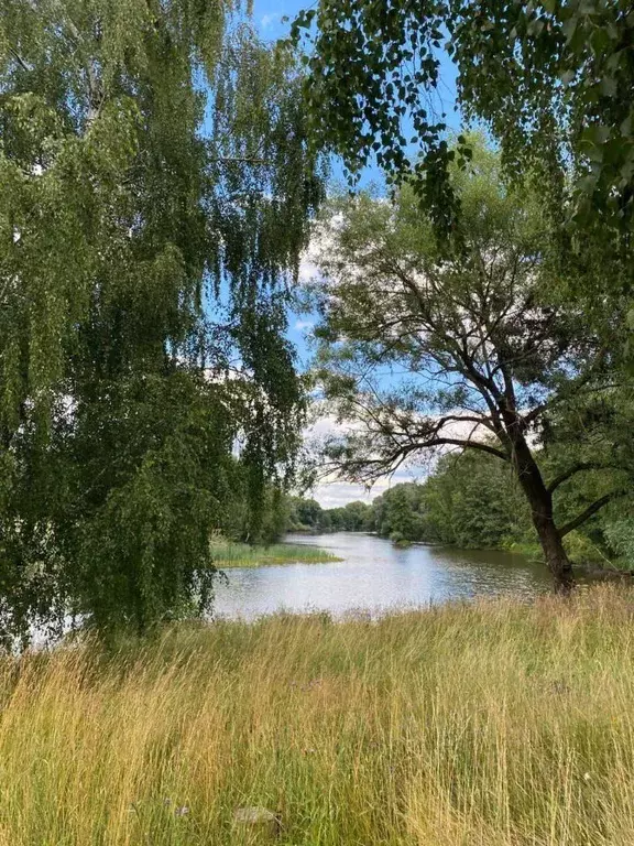 Участок в Московская область, Раменский городской округ, с. Салтыково  ... - Фото 0