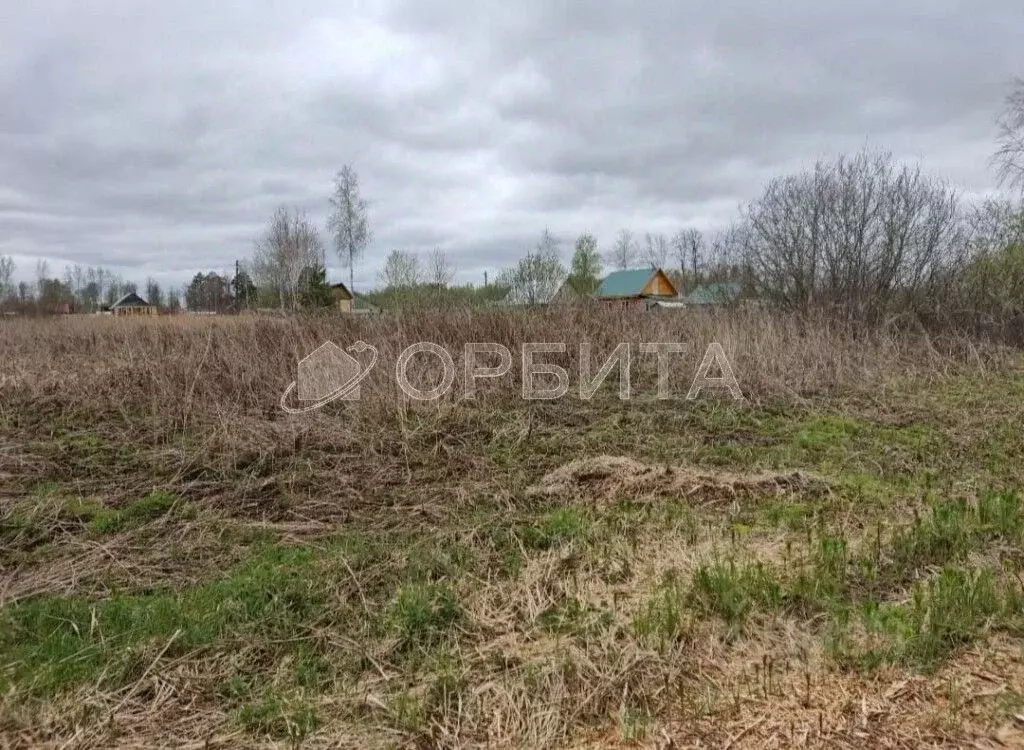 Участок в Тюменская область, Нижнетавдинский муниципальный округ, ... - Фото 1