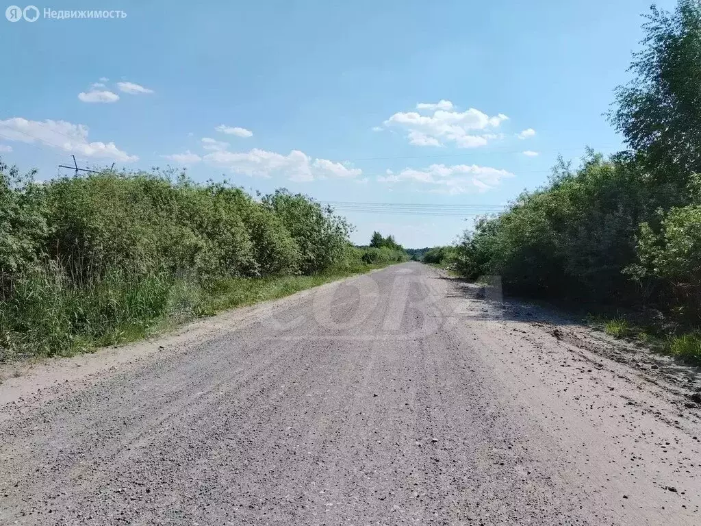 Участок в Тюмень, Центральный округ (5 м) - Фото 0