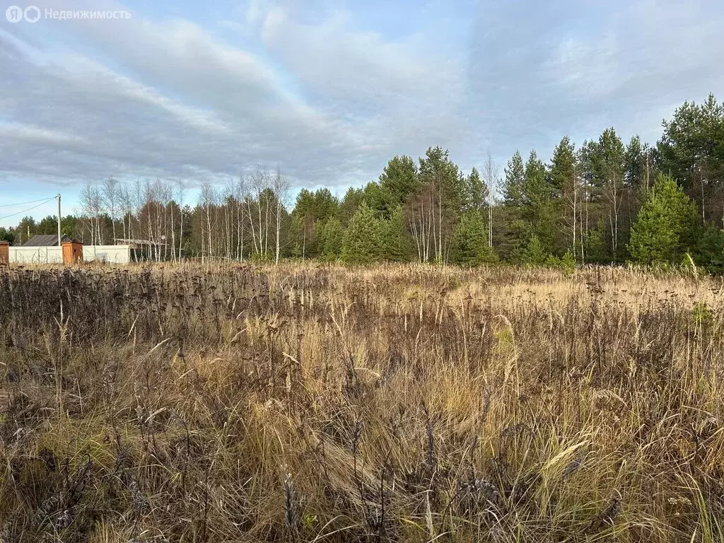 Участок в Владимирская область, Киржачский муниципальный округ, ... - Фото 1