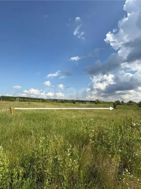 Участок в Башкортостан, Стерлитамакский район, Казадаевский сельсовет, ... - Фото 1