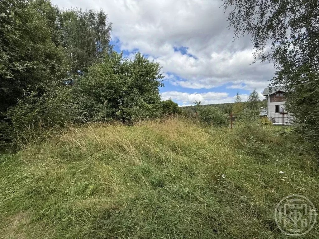 Участок в Ленинградская область, Выборгский район, Рощинское городское ... - Фото 1
