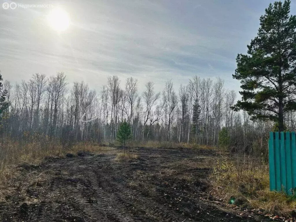 Участок в Тюменский район, СНТ Лесник-2 (15 м) - Фото 0