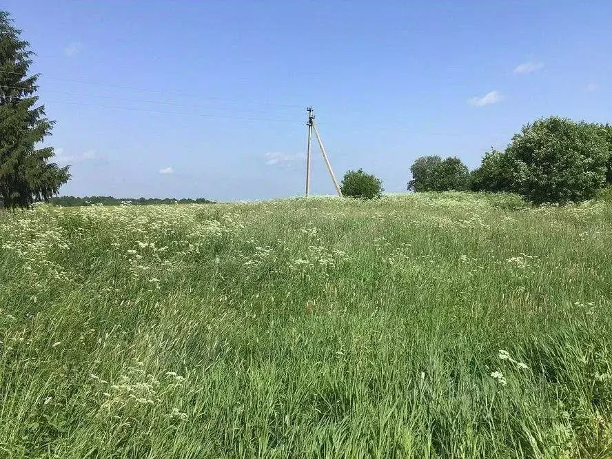 Участок в Вологодская область, Грязовецкий муниципальный округ, д. ... - Фото 0