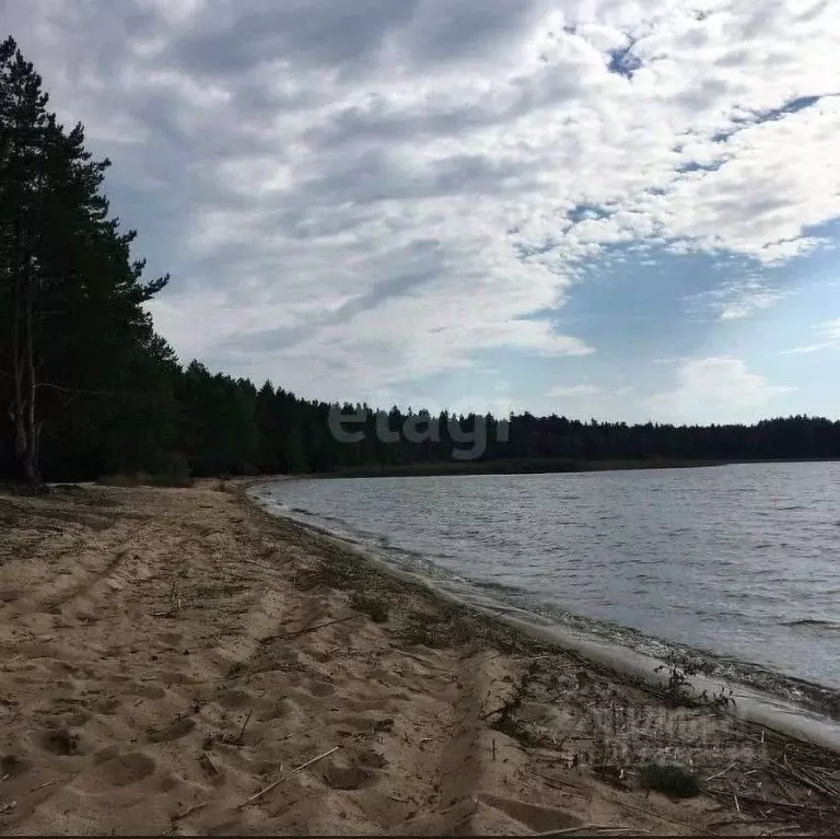 Участок в Псковская область, Куньинский район, Каськовская волость, д. ... - Фото 2