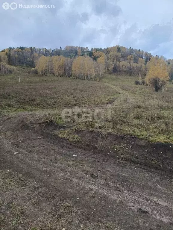 Участок в Майминский район, село Бирюля (400 м) - Фото 1