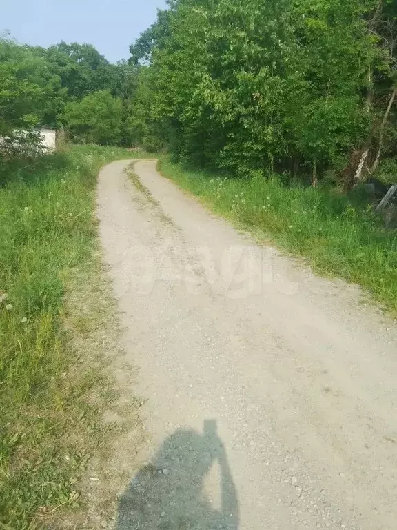 Участок 6 сот. (СНТ, ДНП) - Фото 1