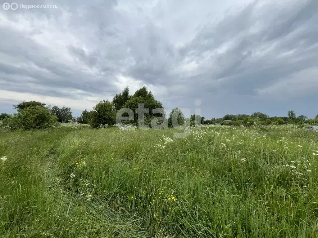 Участок в Красносельский район, Подольское сельское поселение, село ... - Фото 0