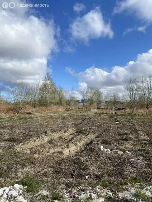 Участок в посёлок Холмогоровка, Кварцевая улица (8 м) - Фото 2