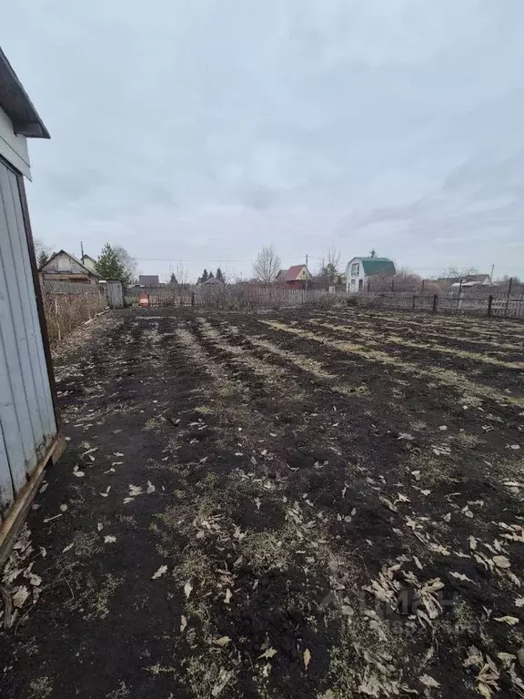 Участок в Омская область, Омский район муниципальный округ, Яблонька ... - Фото 2