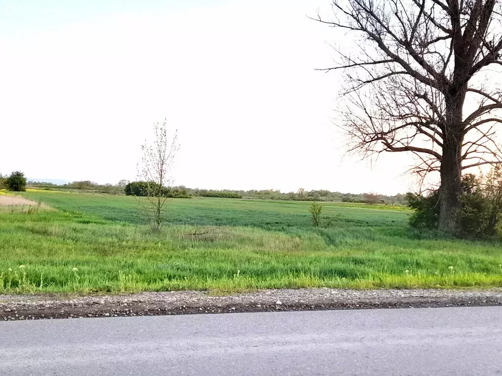 Участок в село Львовское, Крюковская улица (24 м) - Фото 0