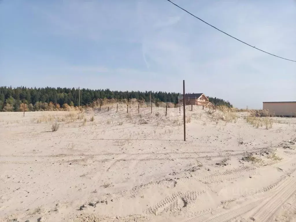 Участок в Ханты-Мансийский АО, Ханты-Мансийск Восточный мкр,  (6.0 ... - Фото 2